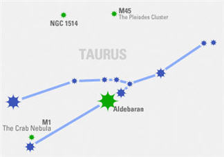 Constellation In Focus: Taurus