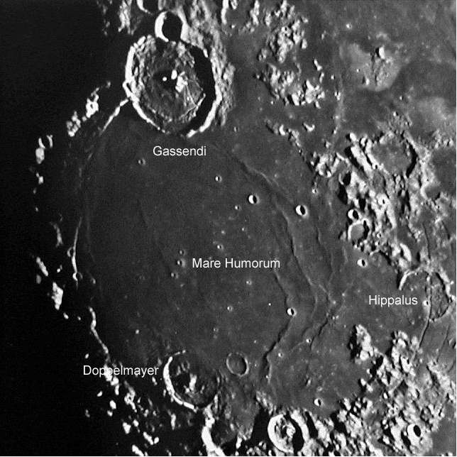 Gassendi and Doppelmayer, to the North and South of Mare humorum, respectively.