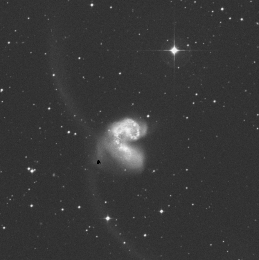 NGC 4038/39 - Palomar Observatory Courtesy of Caltech